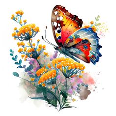 watercolor painting of a butterfly and flowers