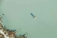 an aerial view of a person in the water on a surfboard, surrounded by rocks and sand