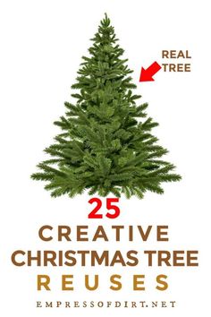 a christmas tree with the words 25 creative christmas tree reuses and an arrow pointing to