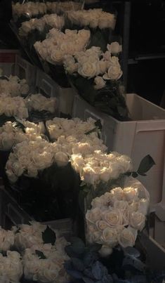 white roses are arranged on display at a flower shop in the evening hours and nights