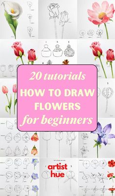 20 flowers for beginners to draw with the words, how to draw flowers for beginners