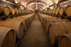 rows of wine barrels lined up in an old cellar