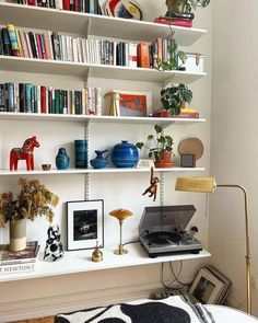 a living room with bookshelves filled with lots of books and other things on the shelves