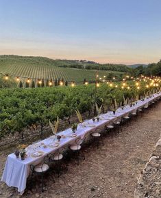 a long table is set up in the middle of a vineyard at dusk with candles on it