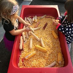 Sensory Play | Crozet Play School Fall Sensory Bin, Toddler Sensory Bins, Montessori Practical Life, Farm Activities, Toddler Sensory, Tuff Tray, Fall Preschool, Sensory Table, Play School