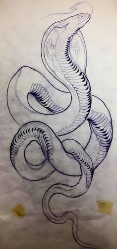 a drawing of a snake on paper