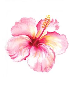 a pink flower with yellow stamens on it's center is shown in this watercolor painting