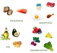 an image of foods that are high in proteins and fats to gain weight