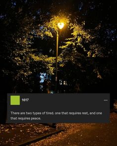 a street light in the middle of a park at night with trees and leaves all around