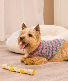 Free pattern from Red Heart. yarn= Worsted. Level=Intermediate. Sizes: s, m, l. La-di-da Dog Sweater Kat Haken, Pet Sweaters, Small Dog Sweaters, Dog Clothes Diy, Pet Sweater