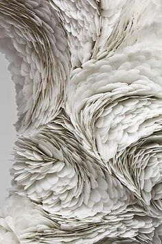 an image of white feathers that look like they have been made out of something else