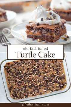 old fashioned turtle cake with chocolate chips and whipped cream