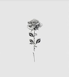 a black and white drawing of a rose