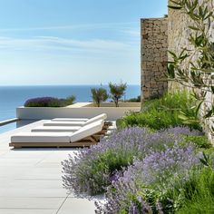 an outdoor lounge area next to the ocean with lavenders and plants in blooming