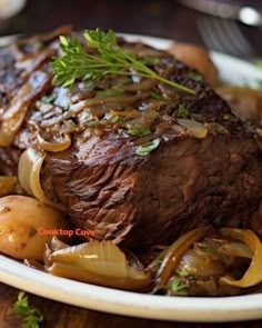 a close up of a plate of food with meat and onions on it's side