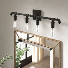 a bathroom mirror with three lights hanging from it's sides and a potted plant on the other side