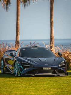 a black sports car parked on top of a lush green field next to palm trees