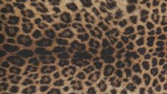 an animal print that is brown and black