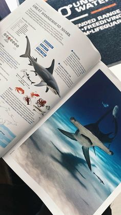 an open book with pictures of sharks and other marine creatures on it's cover