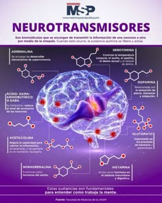 the front cover of a book with information about neurotransmisores