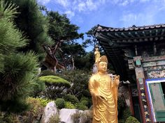 a golden buddha statue sitting in front of a building with trees and rocks around it