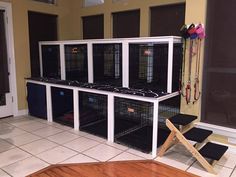 a room filled with lots of caged animals in front of a door and windows