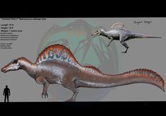 an artist's rendering of two dinosaurs in different poses