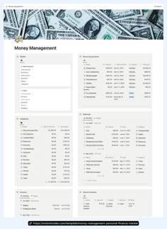 the money management page is shown in this screenshote, which shows how much money can