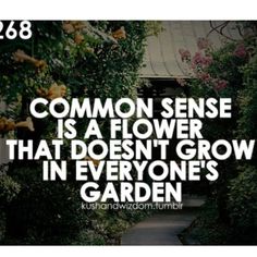 a quote from the famous flower gardener on how to grow flowers in everyone's garden