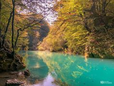 a river with blue water surrounded by trees