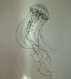 a drawing of a jellyfish on a white wall