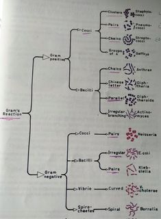 an open book with some diagrams on the page and words written in red, black and white