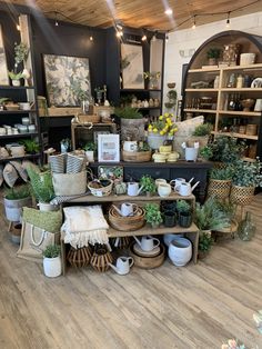 a room filled with lots of potted plants and other things on shelves next to each other