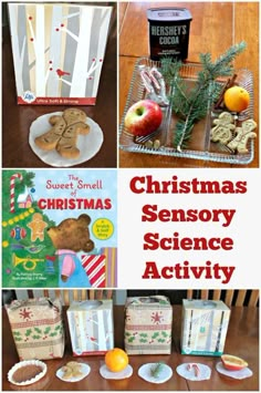 christmas science activities for kids and adults to do with the holiday season's theme