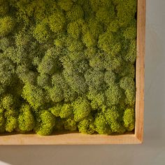 an overhead view of broccoli in a wooden box on a white wall background