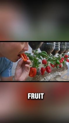 a person eating some food with the words fruit in front of them and an image of peppers