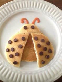 a white plate topped with two pancakes covered in chocolate chips and a lady bug design