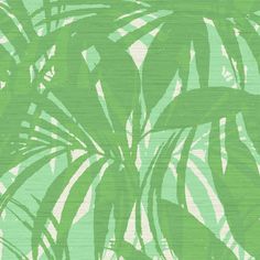 a green and white palm tree wallpaper with leaves on the backgrounge