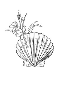 a black and white drawing of a seashell with flowers