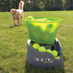 a dog standing next to a large green bowl filled with tennis balls