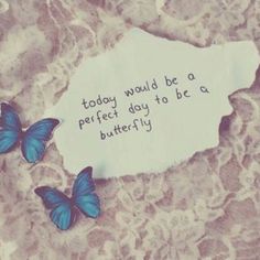 two butterflies sitting on top of a piece of paper that says today would be a perfect day to be a butterfly