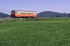 an orange and white train traveling through a lush green field with mountains in the background