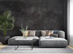 a living room with a couch, coffee table and potted plant