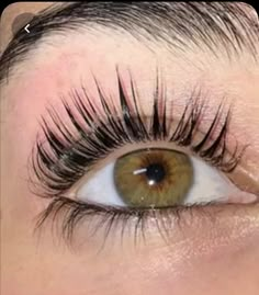 Perfect Eyelashes, Dream Vision Board, Life Vision Board, روتين العناية بالبشرة, Beauty Goals, Trening Abs, Longer Eyelashes