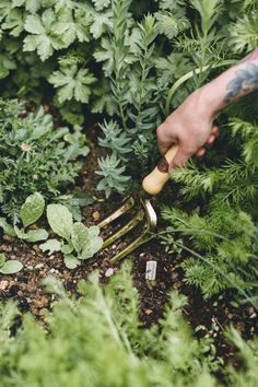 a person is digging in the ground with gardening utensils