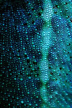 close up view of green and blue bubbles