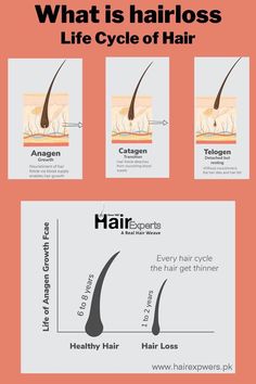 Esthetician Learning, Anagen Catagen Telogen, Hair Cycle, Photography Cosmetics, Arrival Poster, Best Laser Hair Removal, Hair Facts