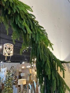 a green branch hanging from the ceiling in front of other christmas decorations and lights at a store