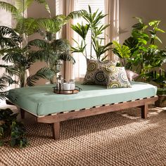 a living room filled with lots of plants next to a couch and coffee table on top of a rug