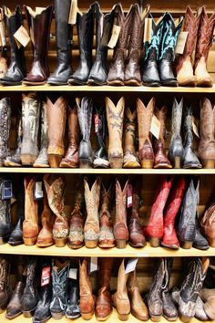 many pairs of cowboy boots lined up on shelves